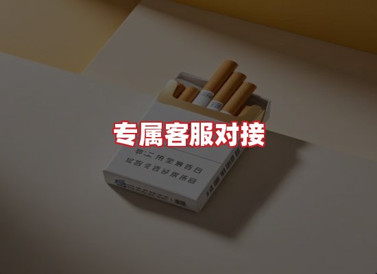 专业团队